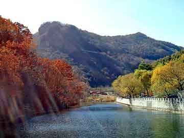 正版澳门天天开彩大全，半块铜板